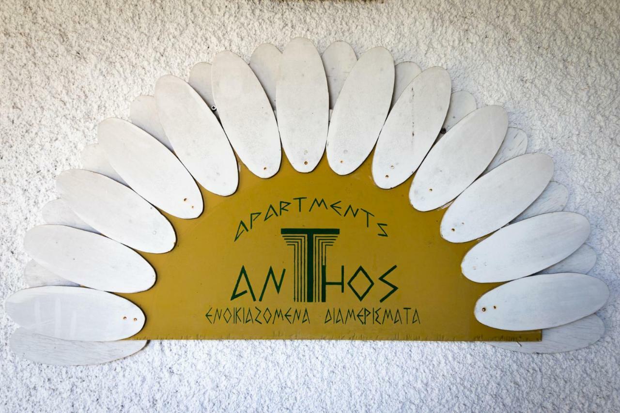 Apartment Anthos