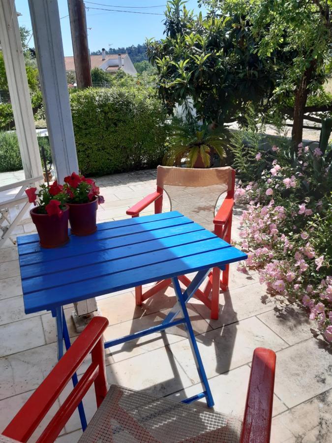 Apartment Anthos Limenas (Thasos)